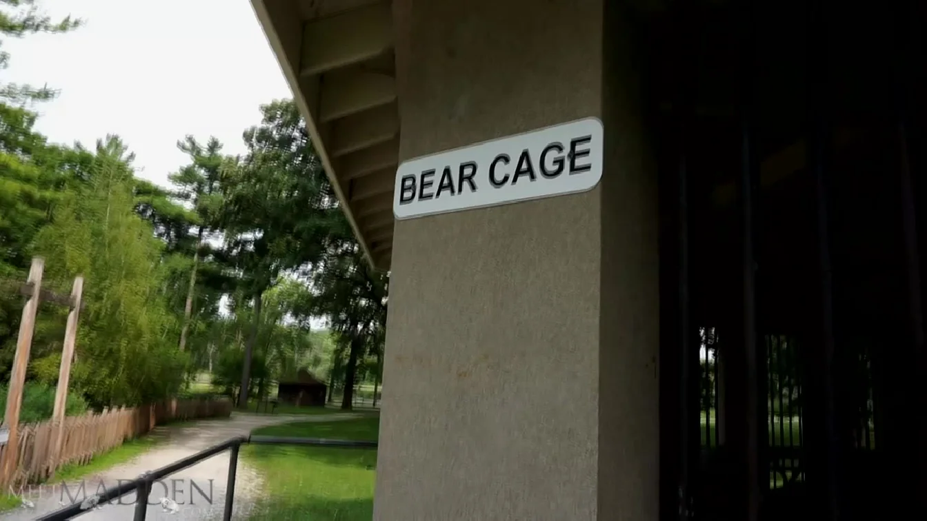 Preview of MeetMadden Bear Cage XXX